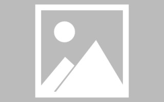 新昌信息网页设计（信息型网页）